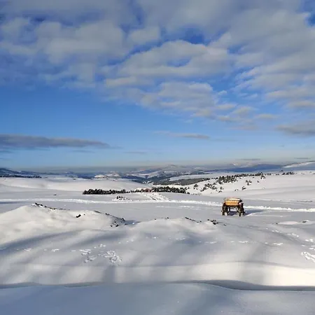 Dominik Hills - & * Zlatibor