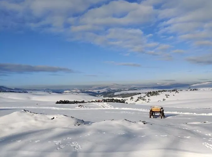 Dominik Hills - & * Zlatibor